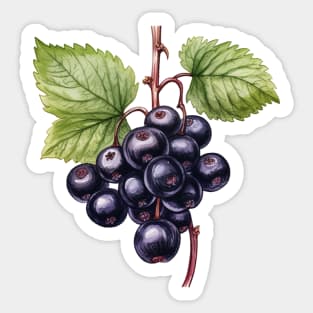 Blackcurrant Illustration Sticker